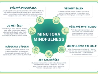 DS-222 Infografika Minutová mindfulness.jpg