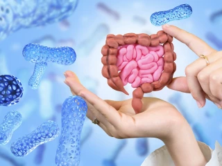 lactobacillus