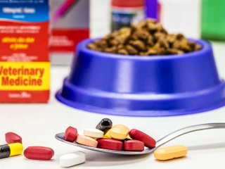 antibiotika a veterina