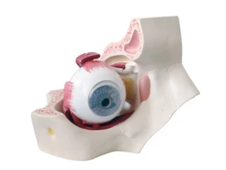  :IMPORT-SZ: