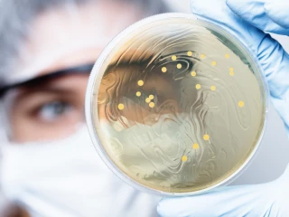 anti-infectives