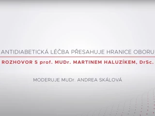 Haluzík IIII
