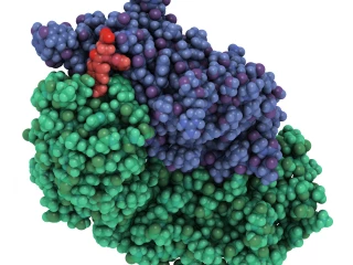 Dabigatran