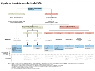 Infografika_obezitologie_Eli Lilly