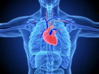 BETA CARDIO