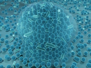 biofilm