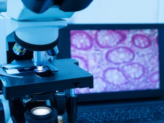 Revoluce v digitální cytologii mění pravidla hry: Jak AI zlepšuje péči o zvířecí pacienty?