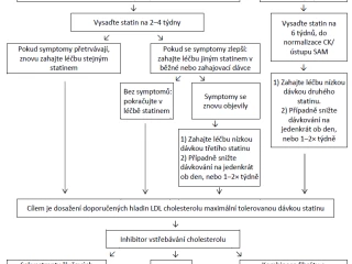 schema_zhodnoceni_symtomu_se_staniny