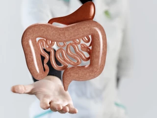 microbiota