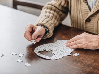 puzzle mozek hlava