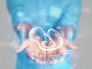 IVF