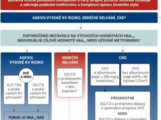 náhled infografiky BI hyperglykémie