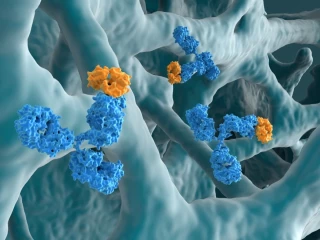 Garadacimab v terapii HAE − inovace v oblasti biologických léčiv mění management péče a zlepšuje kvalitu života pacientů s dalším ze vzácných onemocnění