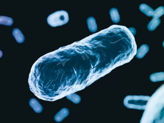 antibiotika rezistence