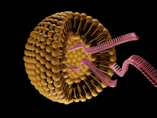 Liposomes