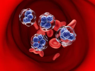 T-cell