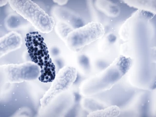 antibiotická rezistence