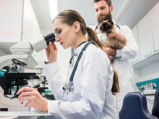 veterinární laboratoř_mikroskop_lékaři_kočka