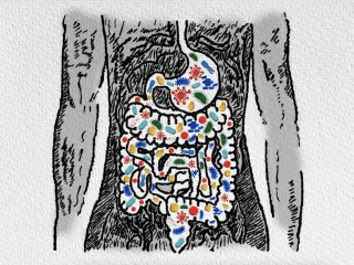 ibs micro