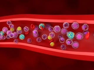 lipoprotein