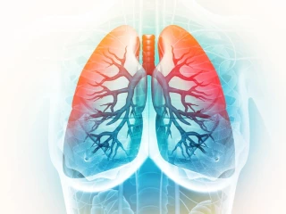 Současné (a budoucí) možnosti diagnostiky deficitu alfa-1-antitrypsinu