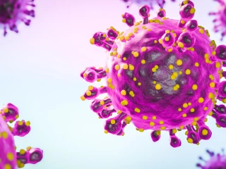 virus