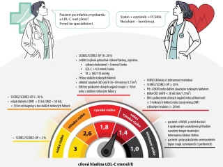 INFOGRAFIKA: Dosažení cílové hladiny LDL cholesterolu: Čím dříve, tím lépe!