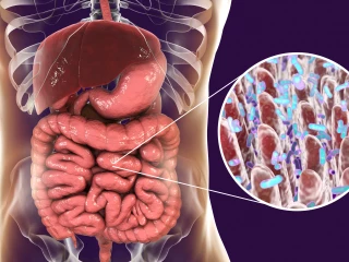 microbiom_střeva