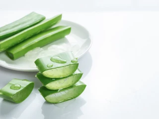 aloe vera