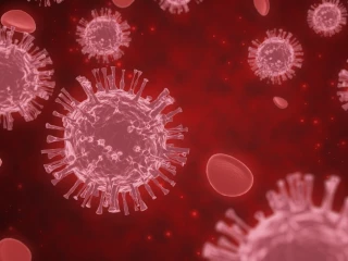 covid virus