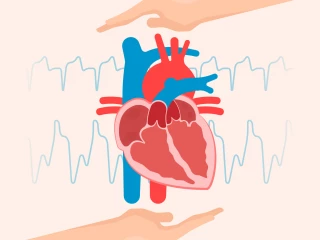 Echokardiografie_srdce_monitoring_kardiomyopatie_angina_pectoris_septum_venózní_hypertenze