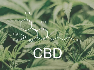 CBD