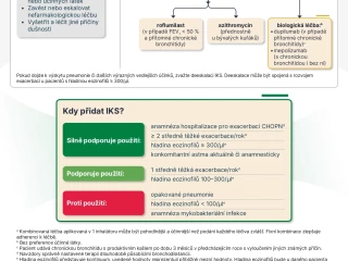 GSK_Nucala_infografika jpg nový