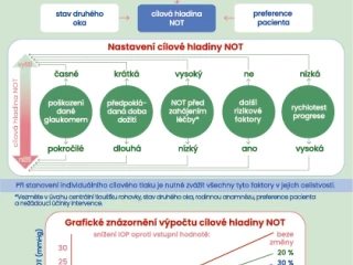 infografika_lecbaglaukomu