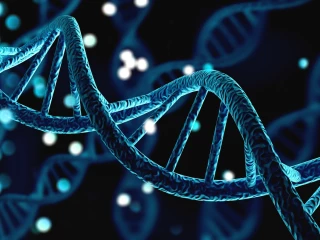 genetika_geny_screening