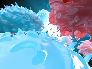 Bispecific antibody