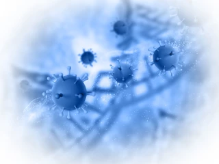 Virus