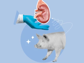 jednohubky - 2025/7