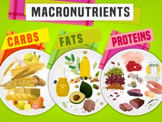 makronutrienty