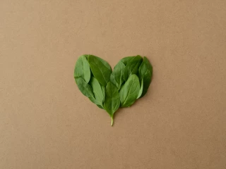 vegan