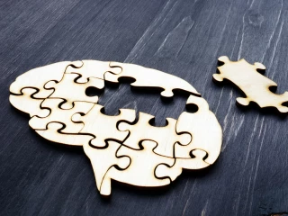 roztroušená skleróza_mozek_ puzzle