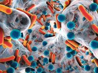 biofilm