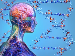 Human heredity