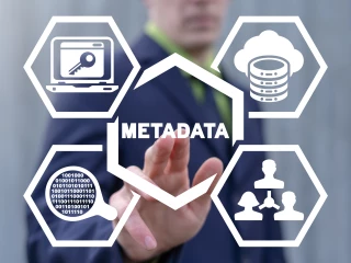 Metadata