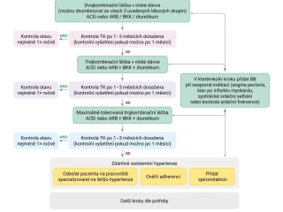 SERVIER_Kardiologie_infografika_duben