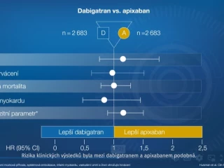 video animace gloria AF