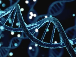 genetika a testovani