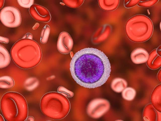 CLL