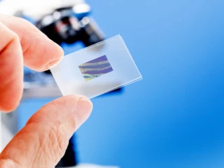 patologie_laborator_nalez_histologie_rakovina_bunky