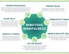 DS-222 Infografika Minutová mindfulness.jpg
